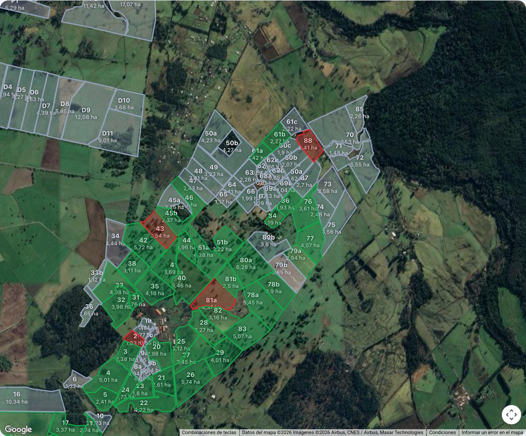 Mapa satelital de un predio lechero con sus 113 potreros pintados según el semáforo: verde los listos, rojo los que tienen animales, gris los sin datos